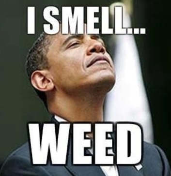 meme obama smells weed