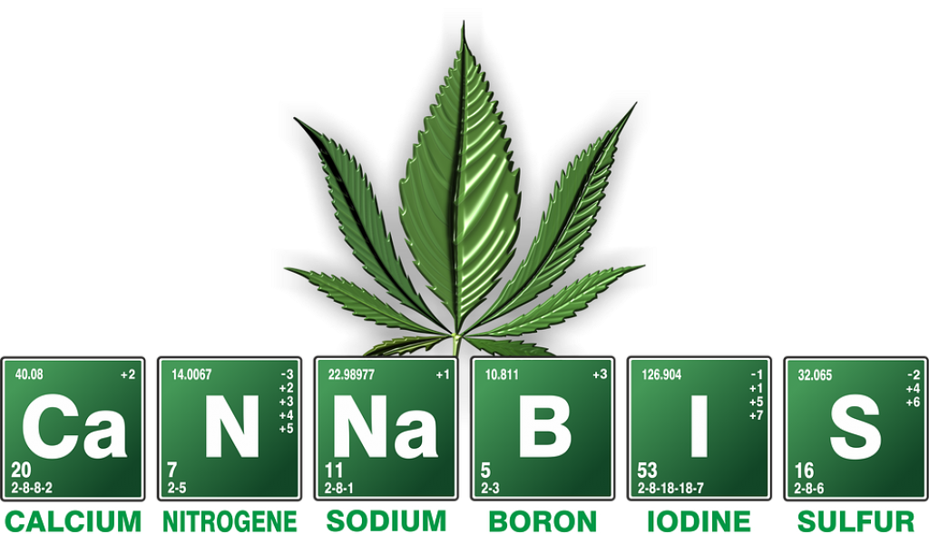 definizione di cannabis